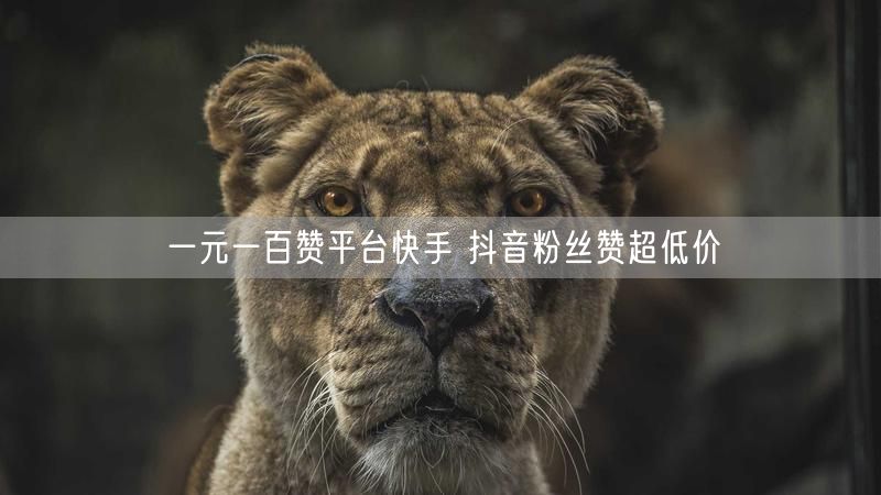 一元一百赞平台快手 抖音粉丝赞超低价