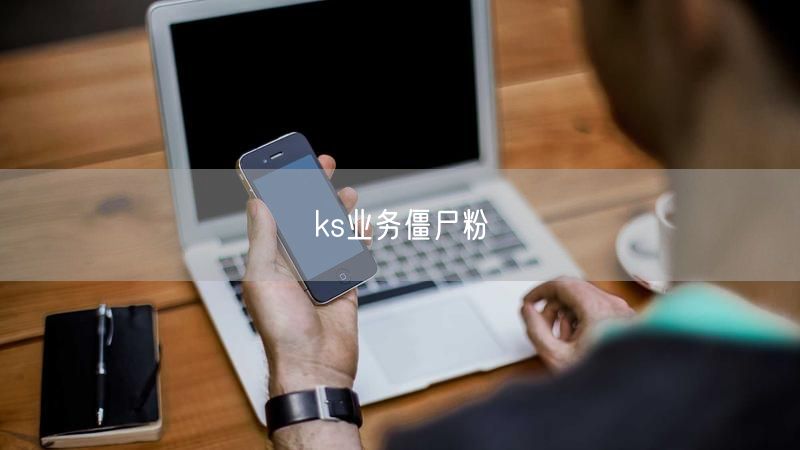 ks业务僵尸粉