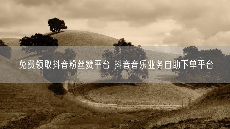 免费领取抖音粉丝赞平台 抖音音乐业务自助下单平台