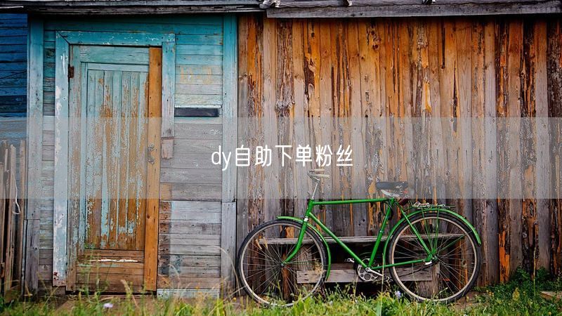 dy自助下单粉丝