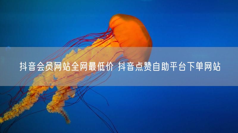 抖音会员网站全网最低价 抖音点赞自助平台下单网站