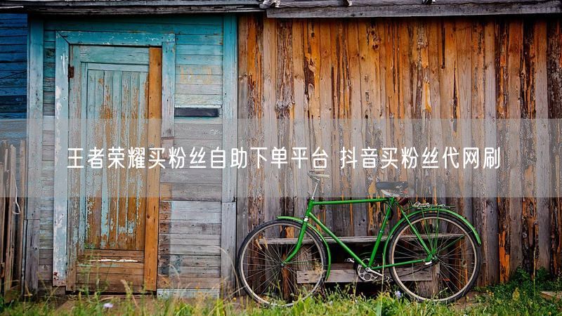 王者荣耀买粉丝自助下单平台 抖音买粉丝代网刷
