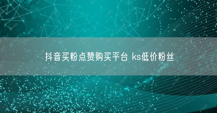 抖音买粉点赞购买平台 ks低价粉丝