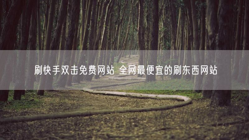 刷快手双击免费网站 全网最便宜的刷东西网站