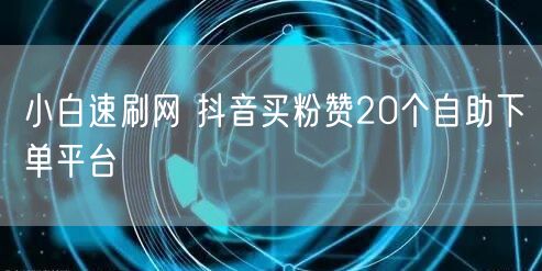 小白速刷网 抖音买粉赞20个自助下单平台