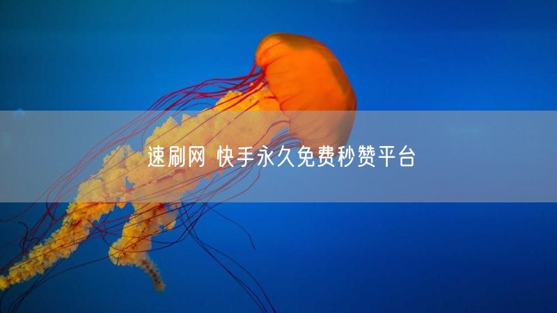 速刷网 快手永久免费秒赞平台