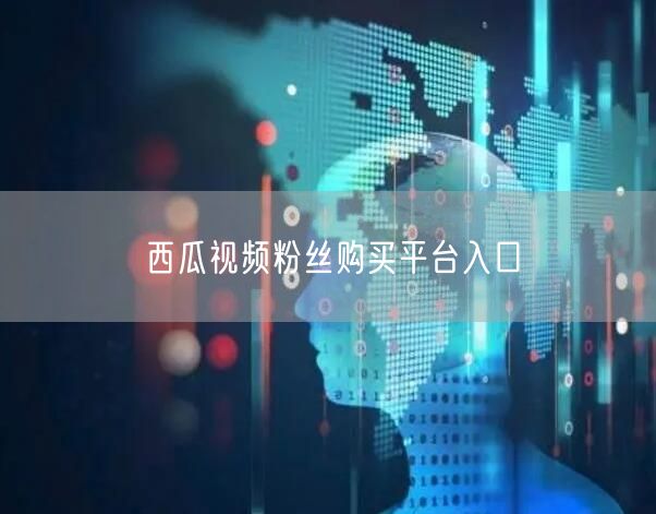 西瓜视频粉丝购买平台入口