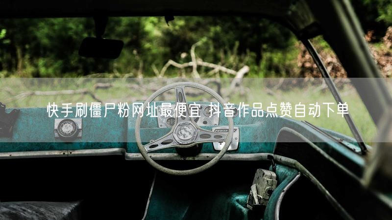 快手刷僵尸粉网址最便宜 抖音作品点赞自动下单