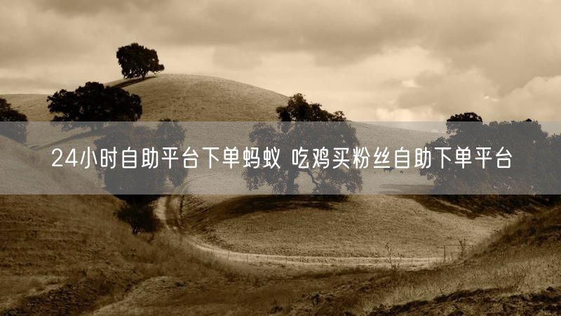 24小时自助平台下单蚂蚁 吃鸡买粉丝自助下单平台