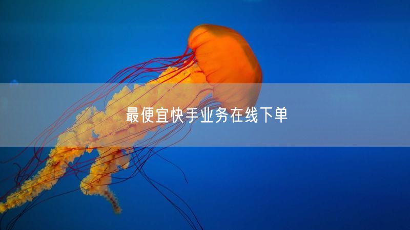 最便宜快手业务在线下单