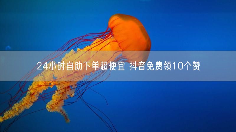 24小时自助下单超便宜 抖音免费领10个赞