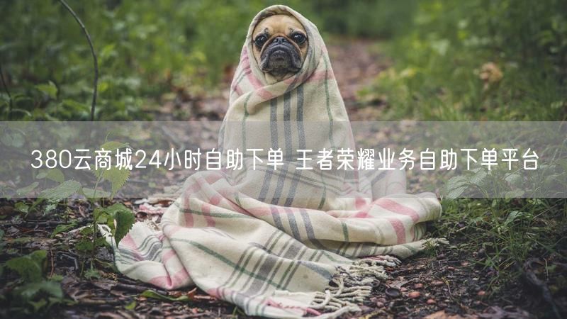 380云商城24小时自助下单 王者荣耀业务自助下单平台