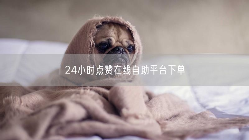 24小时点赞在线自助平台下单