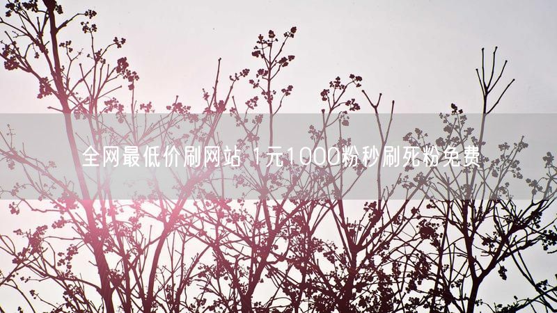 全网最低价刷网站 1元1000粉秒刷死粉免费