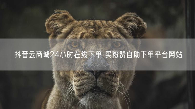 抖音云商城24小时在线下单 买粉赞自助下单平台网站