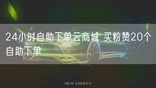 24小时自助下单云商城 买粉赞20个自助下单