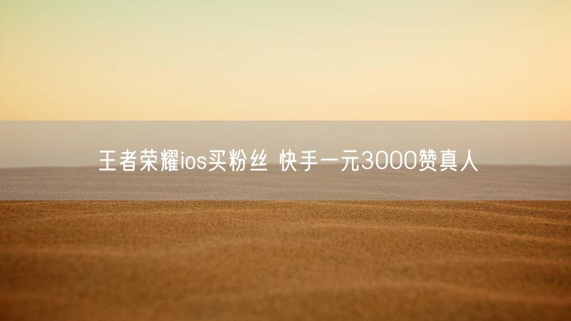王者荣耀ios买粉丝 快手一元3000赞真人