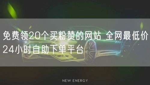 免费领20个买粉赞的网站 全网最低价24小时自助下单平台