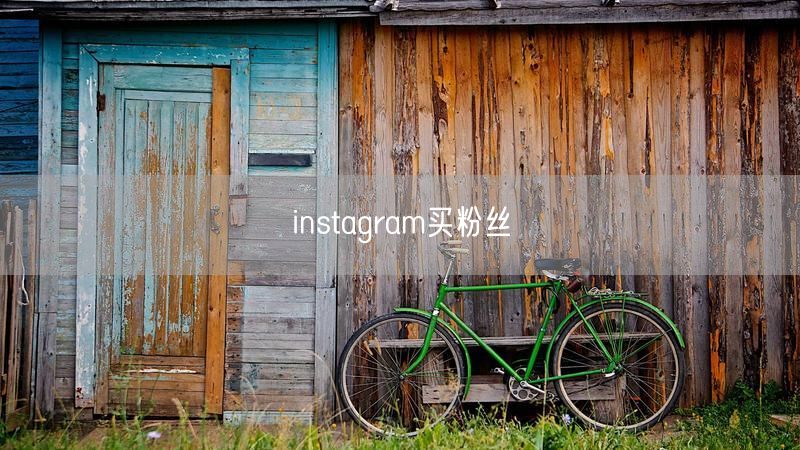 instagram买粉丝