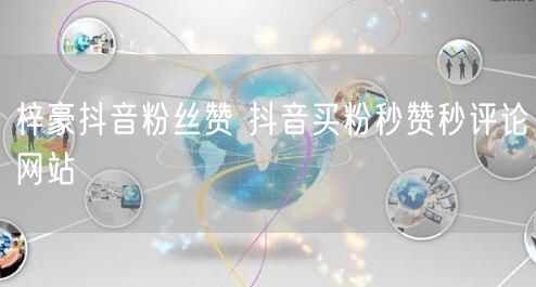 梓豪抖音粉丝赞 抖音买粉秒赞秒评论网站