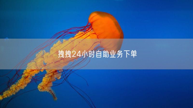拽拽24小时自助业务下单