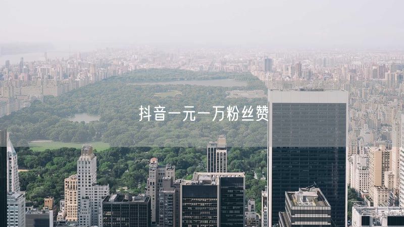抖音一元一万粉丝赞