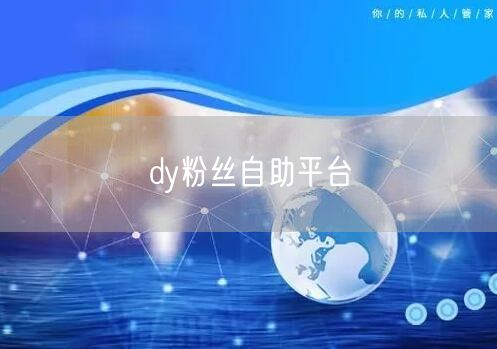 dy粉丝自助平台