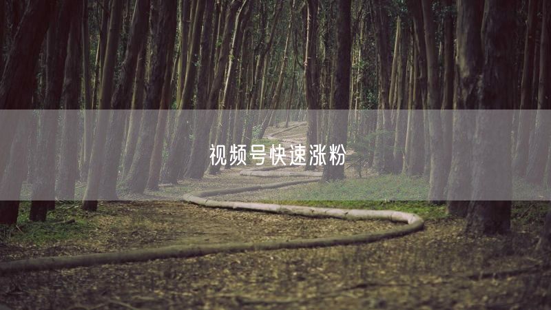 视频号快速涨粉
