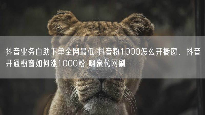 抖音业务自助下单全网最低 抖音粉1000怎么开橱窗，抖音开通橱窗如何涨1000粉 啊豪代网刷