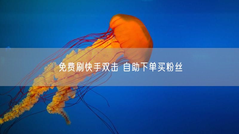 免费刷快手双击 自助下单买粉丝