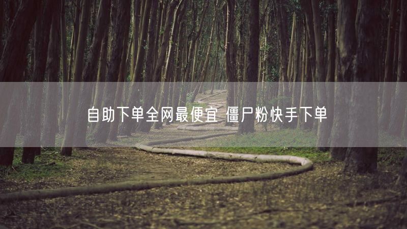 自助下单全网最便宜 僵尸粉快手下单