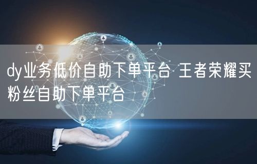 dy业务低价自助下单平台 王者荣耀买粉丝自助下单平台