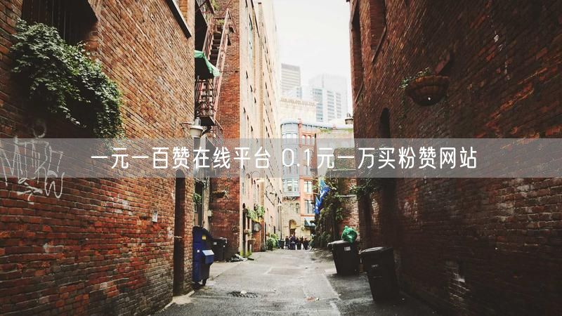 一元一百赞在线平台 0.1元一万买粉赞网站