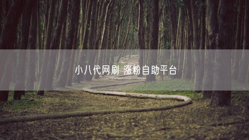 小八代网刷 涨粉自助平台