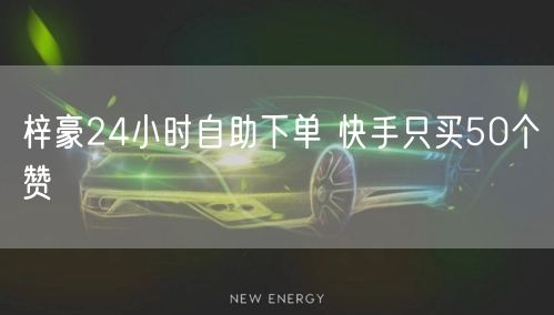 梓豪24小时自助下单 快手只买50个赞