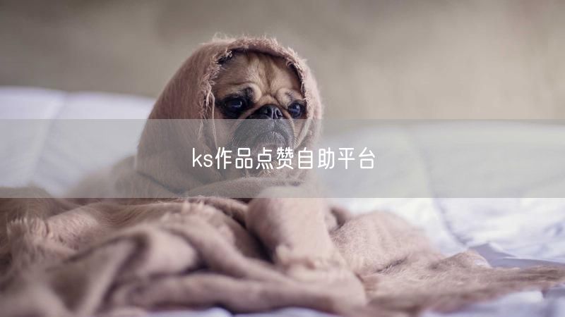ks作品点赞自助平台