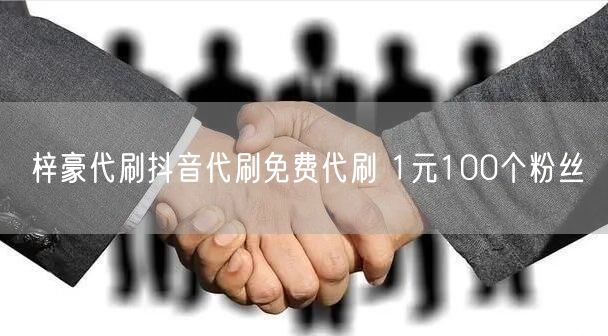 梓豪代刷抖音代刷免费代刷 1元100个粉丝