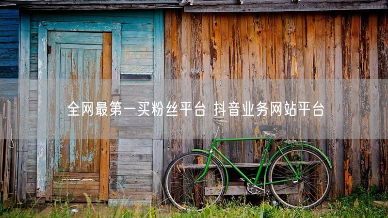 全网最第一买粉丝平台 抖音业务网站平台