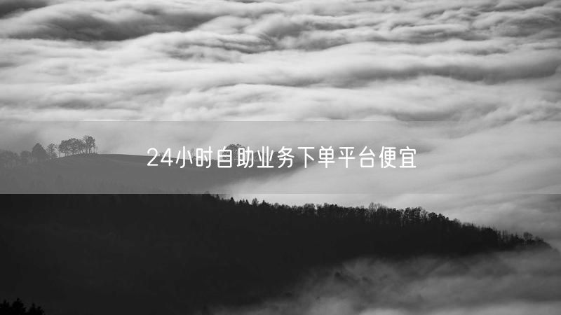 24小时自助业务下单平台便宜