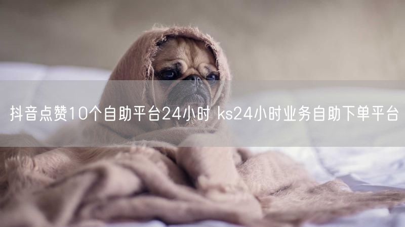 抖音点赞10个自助平台24小时 ks24小时业务自助下单平台