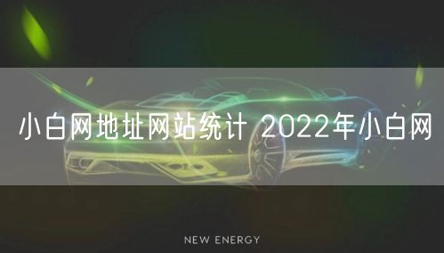 小白网地址网站统计 2022年小白网
