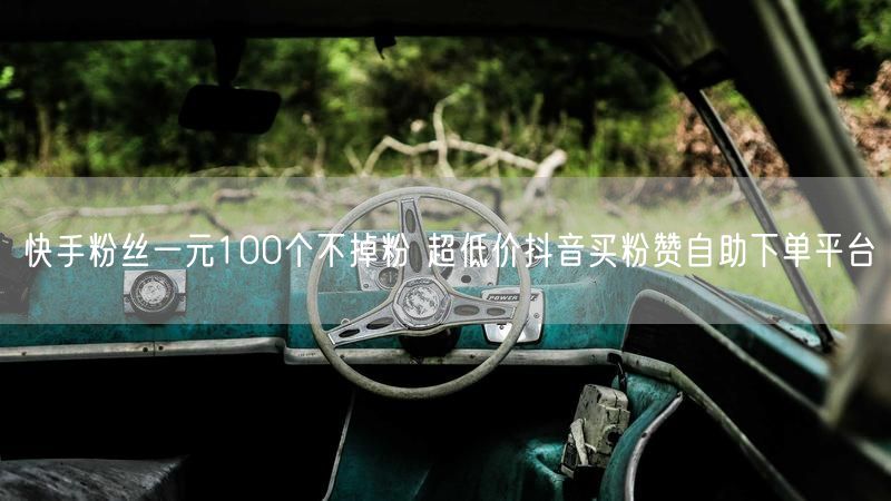 快手粉丝一元100个不掉粉 超低价抖音买粉赞自助下单平台