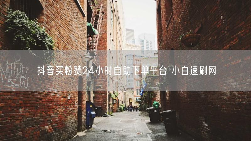 抖音买粉赞24小时自助下单平台 小白速刷网