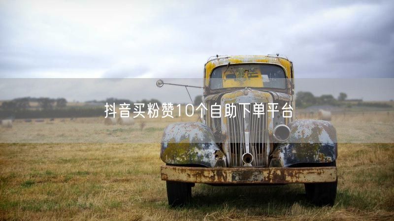 抖音买粉赞10个自助下单平台