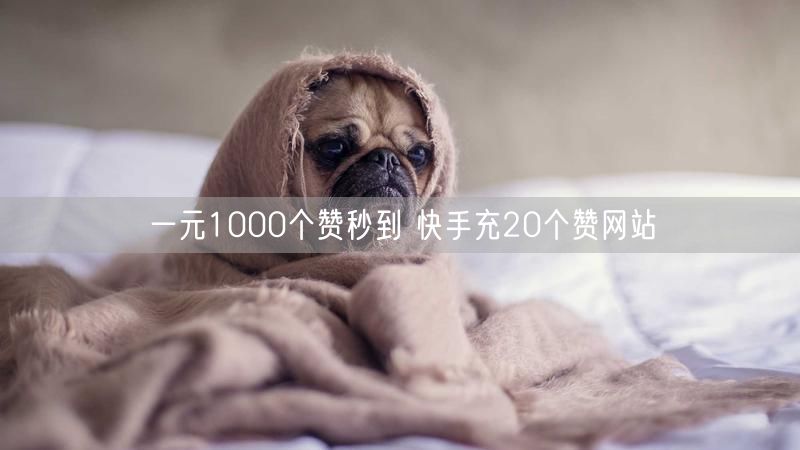 一元1000个赞秒到 快手充20个赞网站