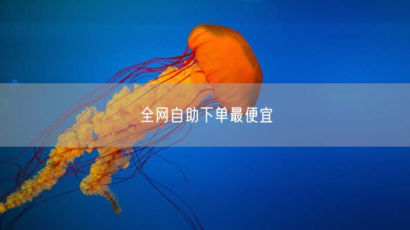 全网自助下单最便宜