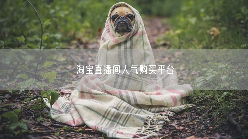 淘宝直播间人气购买平台