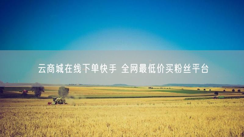 云商城在线下单快手 全网最低价买粉丝平台