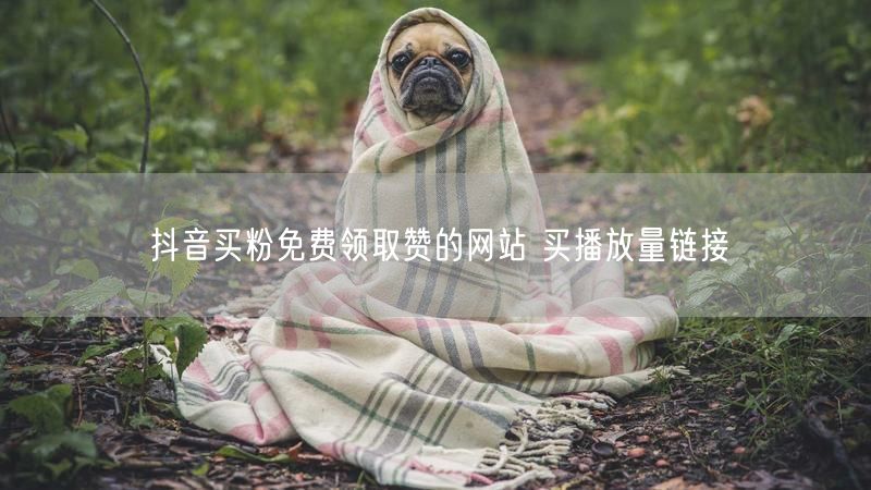 抖音买粉免费领取赞的网站 买播放量链接