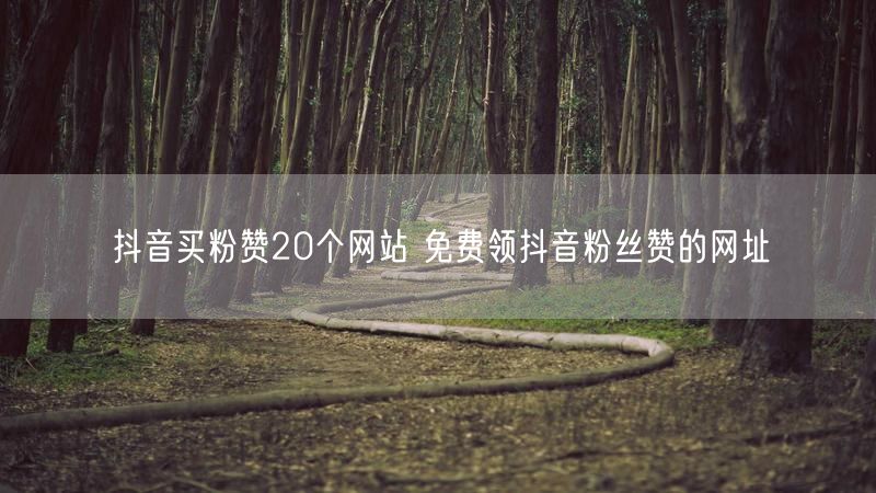 抖音买粉赞20个网站 免费领抖音粉丝赞的网址